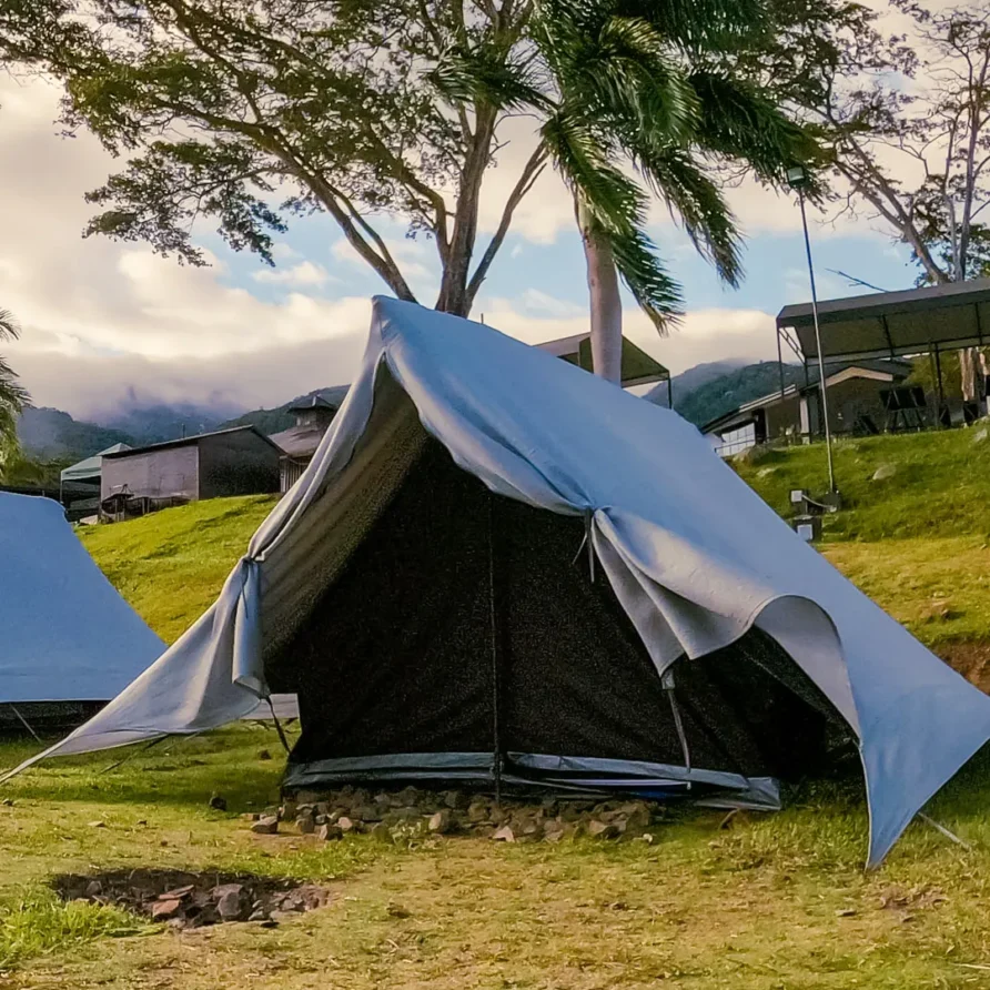 Camping Élite (Hasta 6 personas)